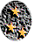 star3.gif (1785 bytes)
